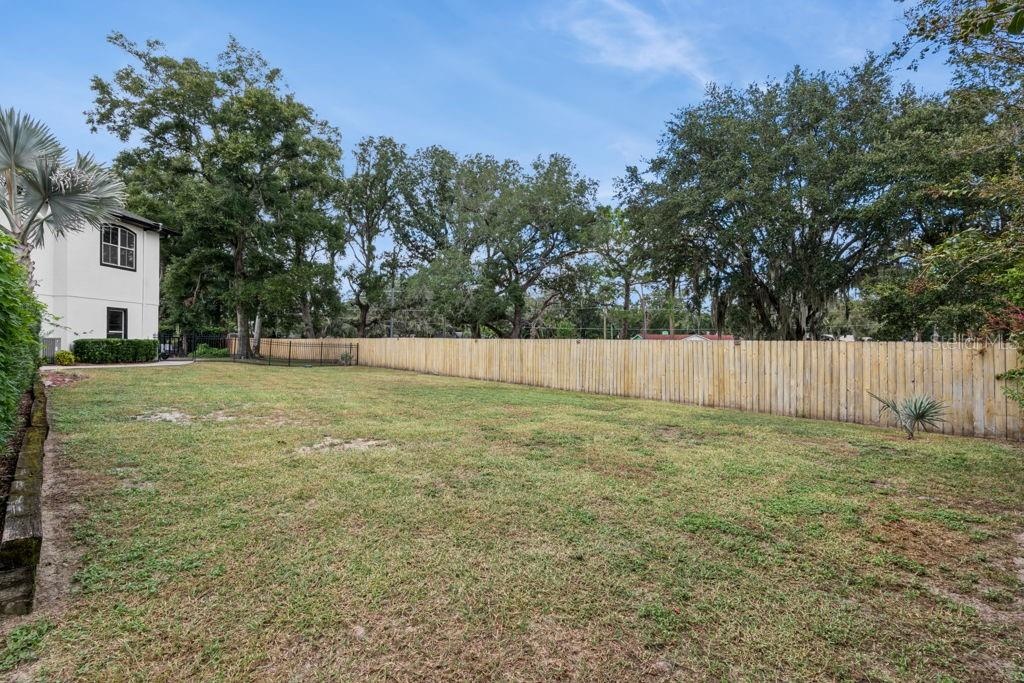 Backyard