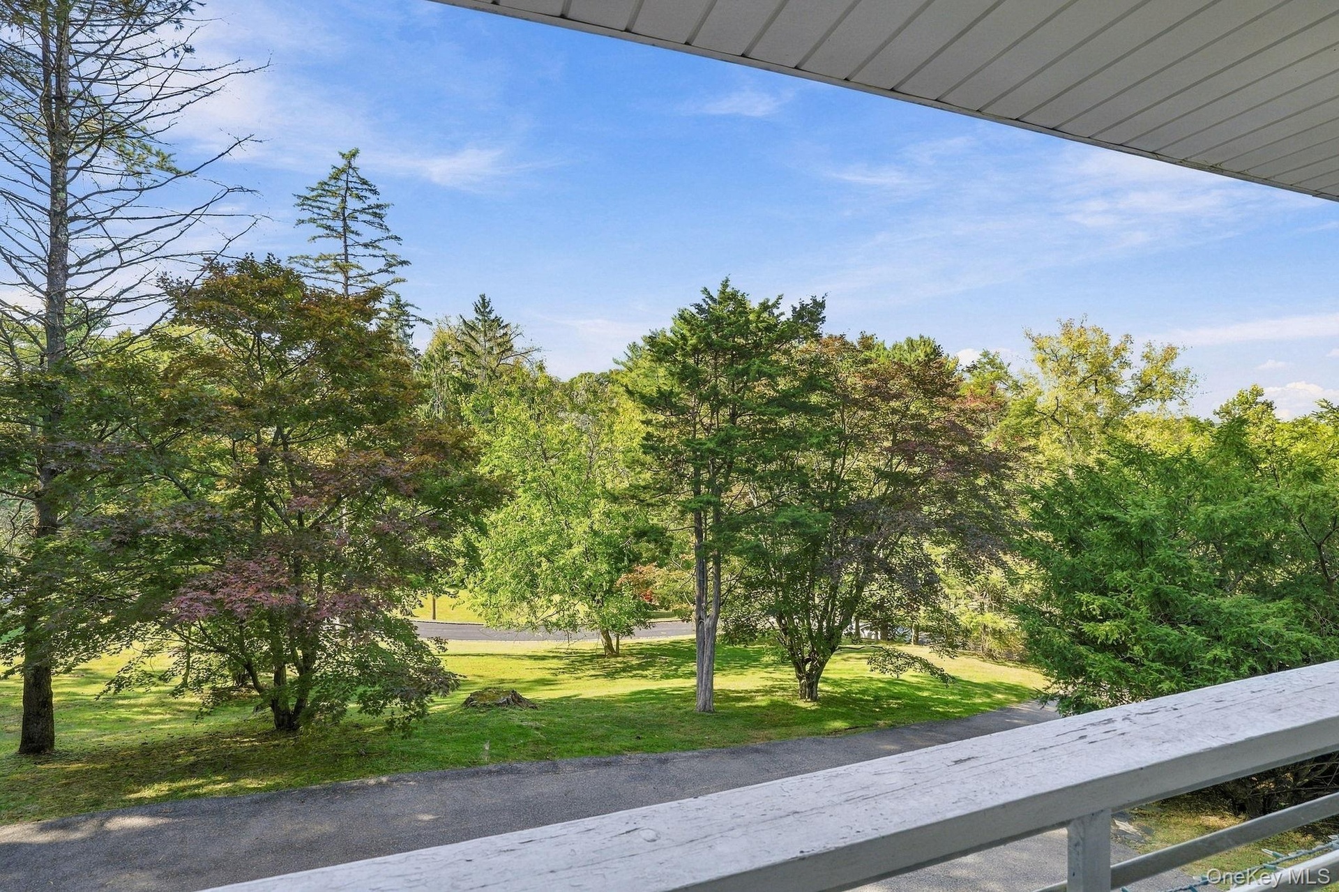 View From the Front Deck