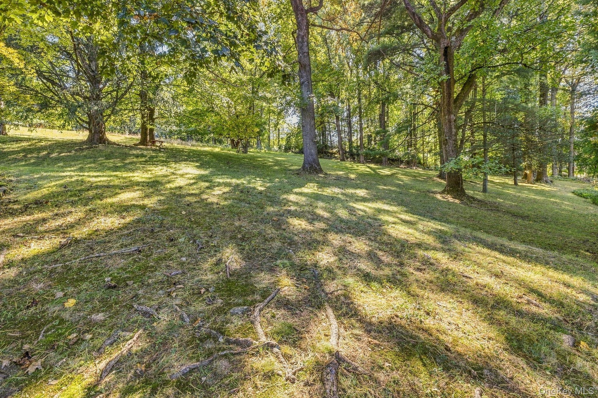 Another View of Property