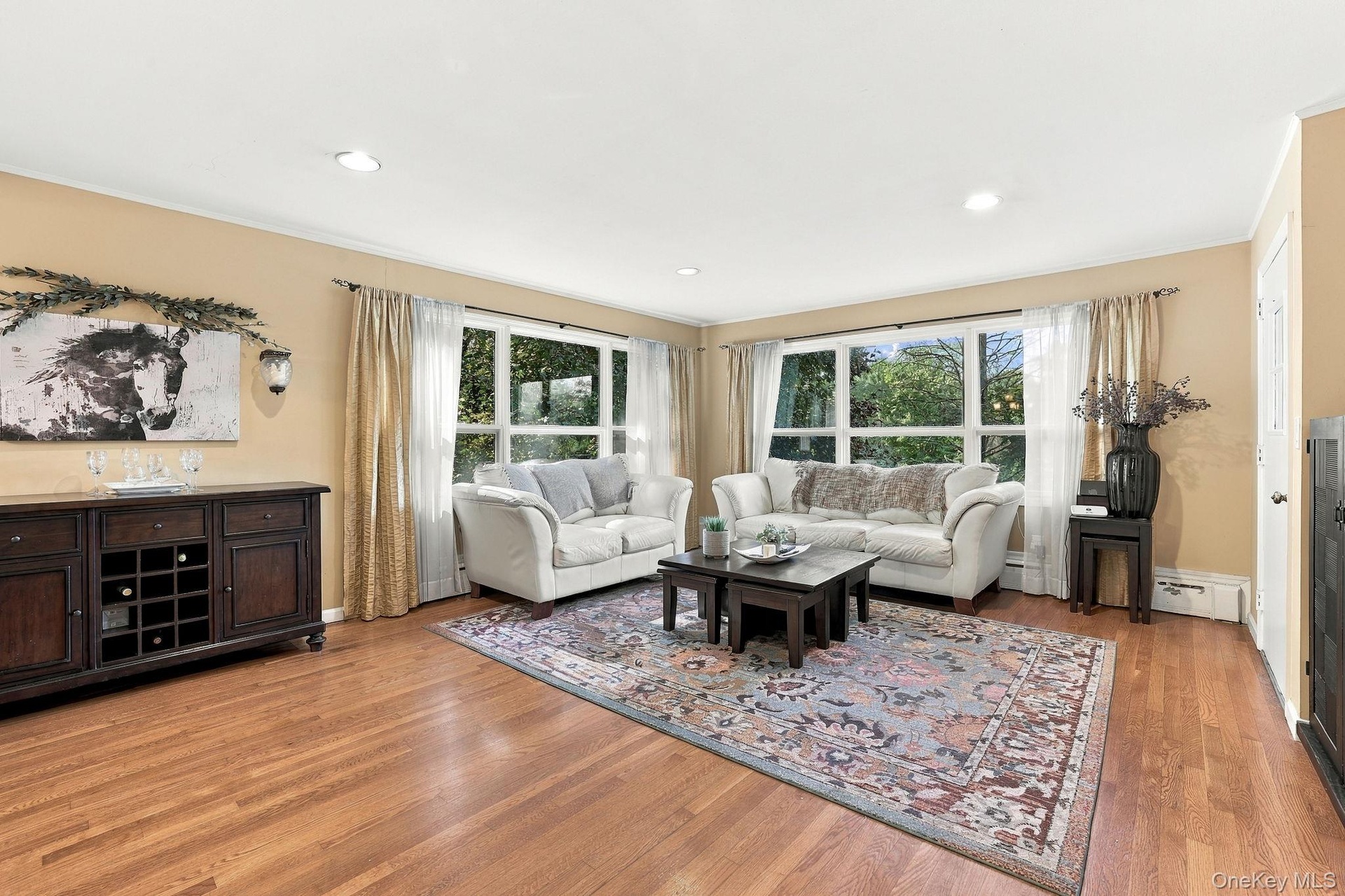 Living Room with Lots of Natural Light