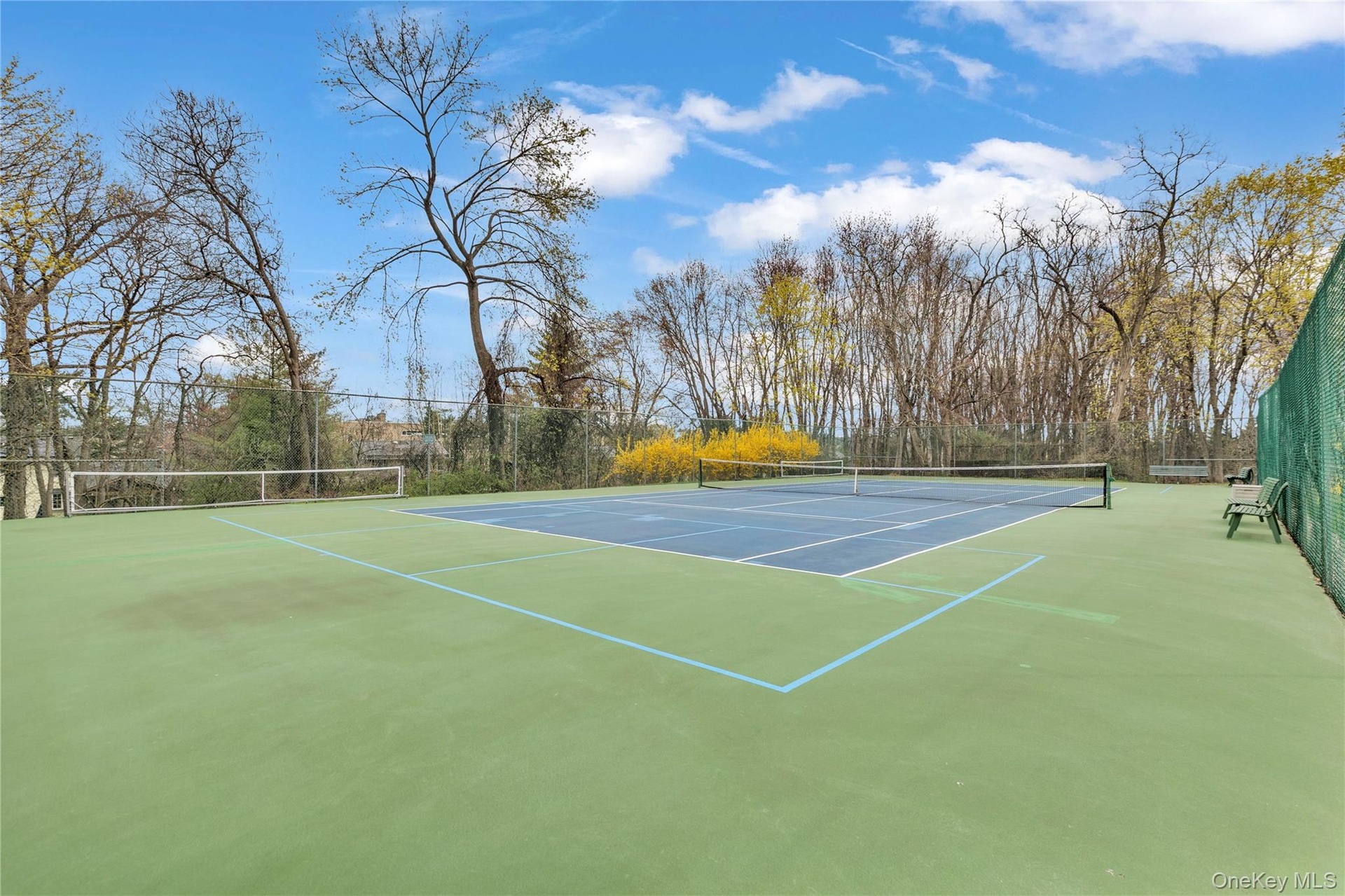 Close up view of the courts
