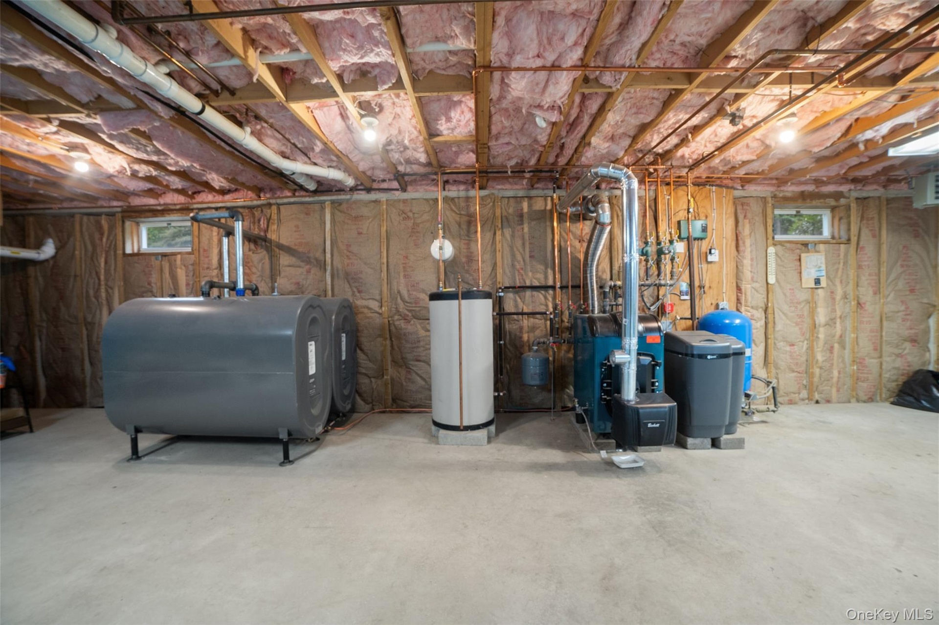 Basement with all new mechanicals
