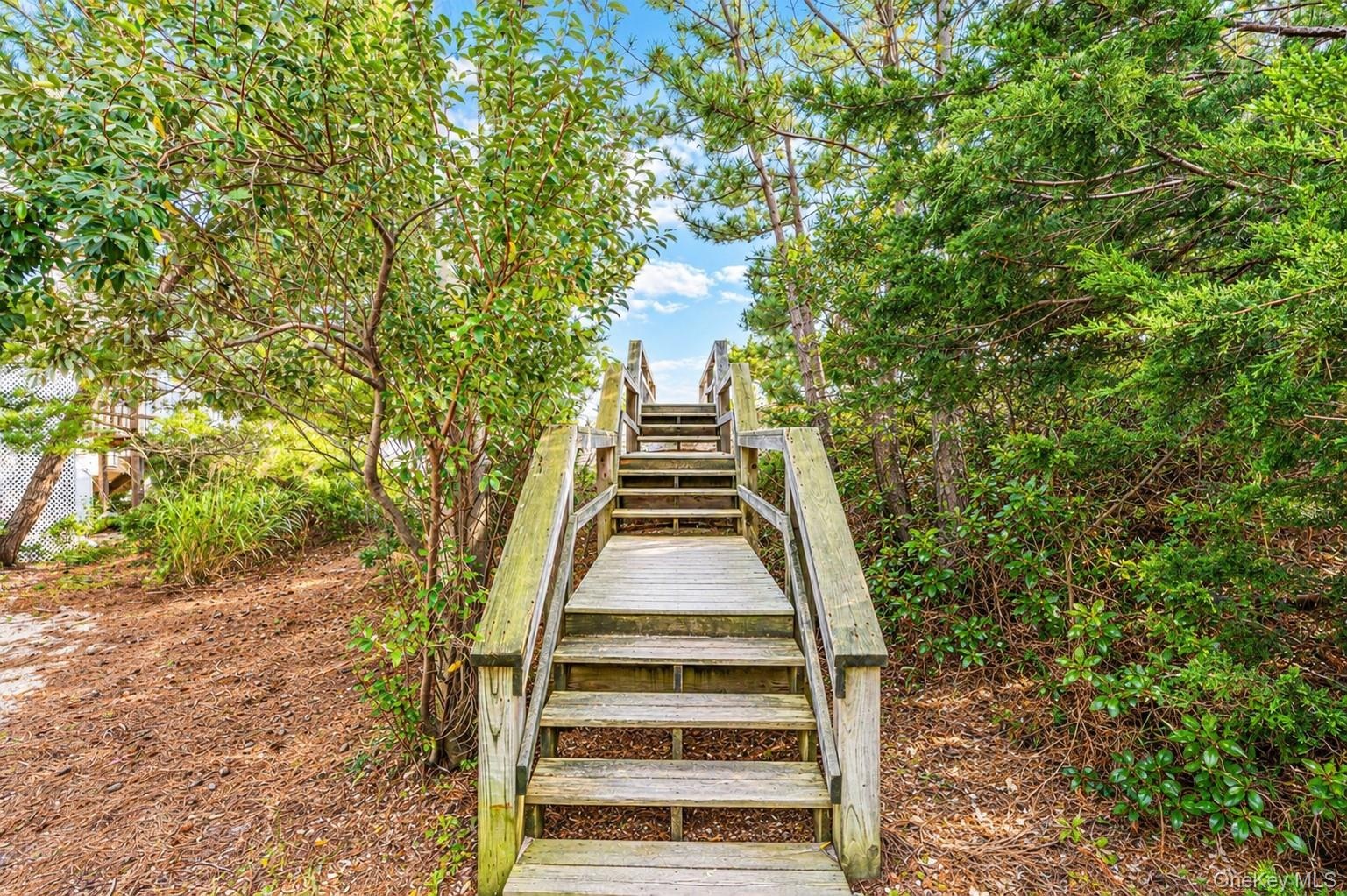 Path from driveway , Beach access