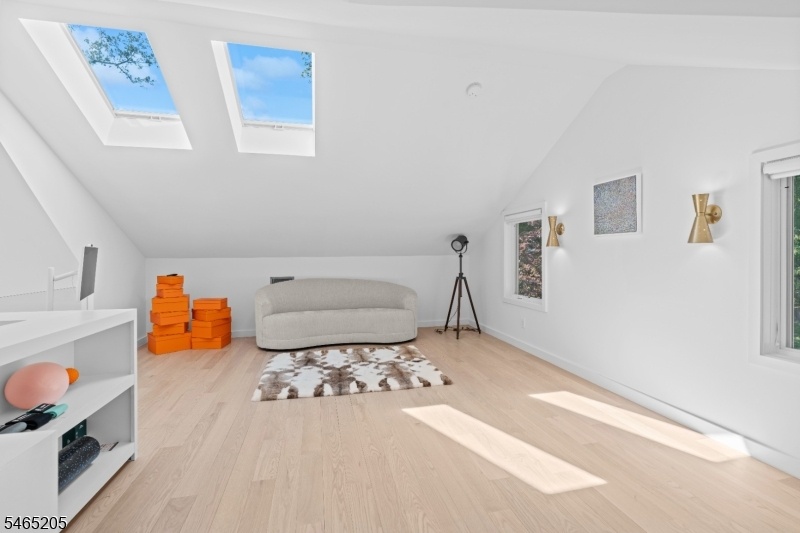 Loft with skylights