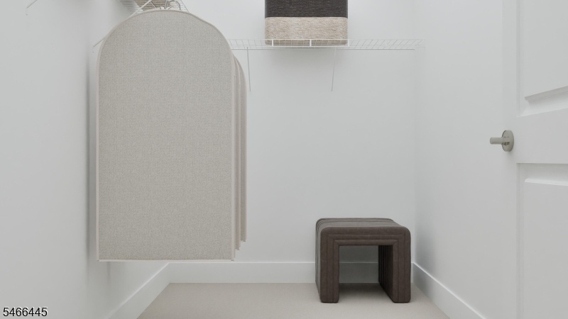 Primary Walk-In Closet