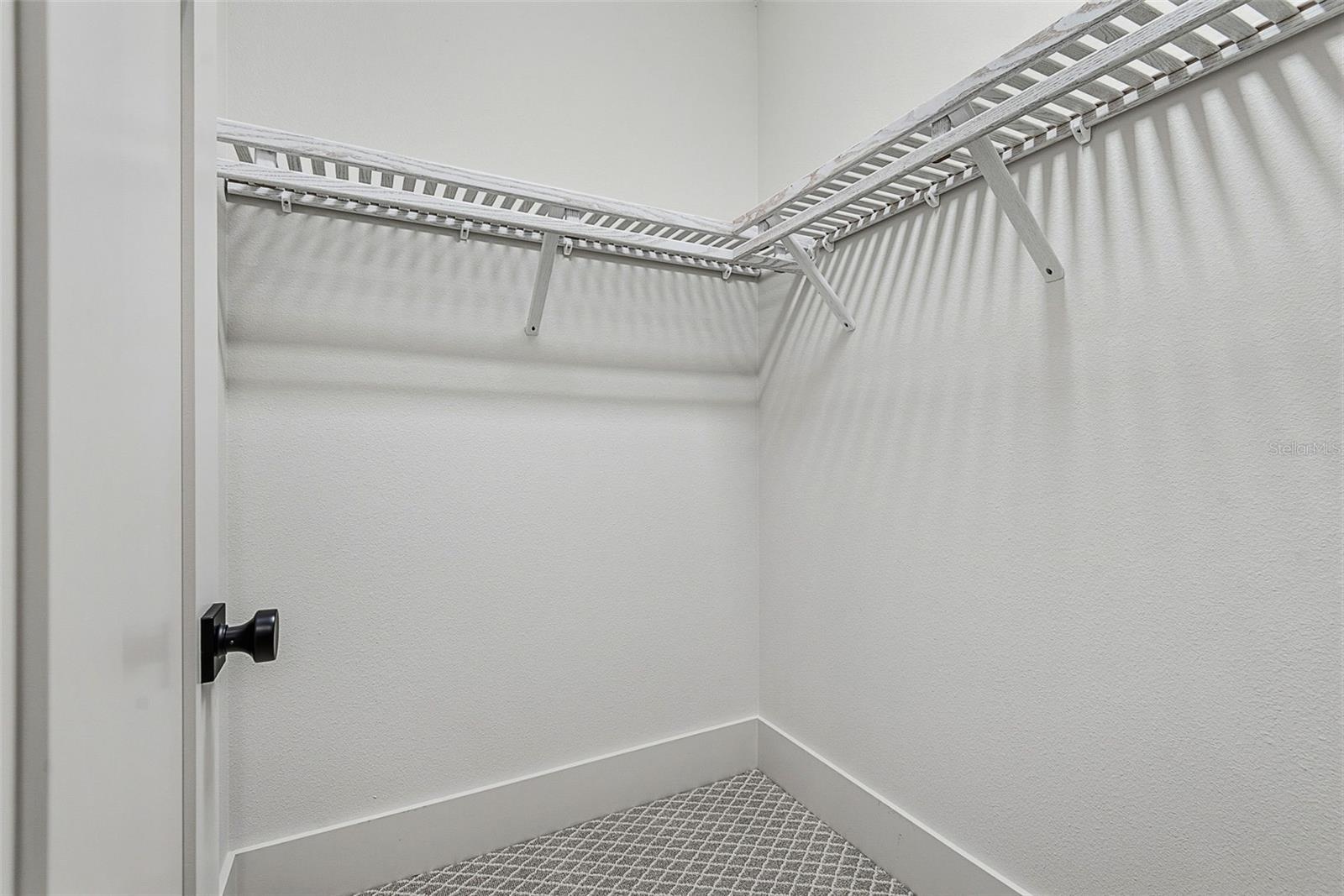 Bedroom 3/Bonus- walk in closet