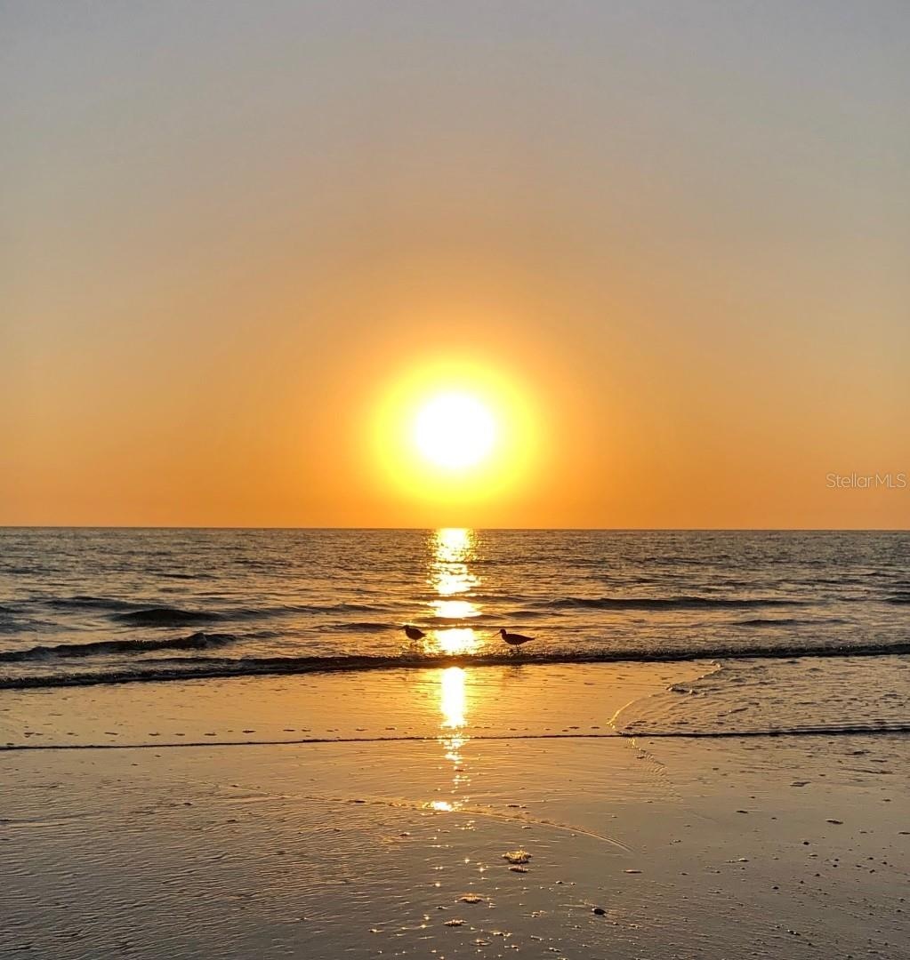 Beautiful Madeira Beach