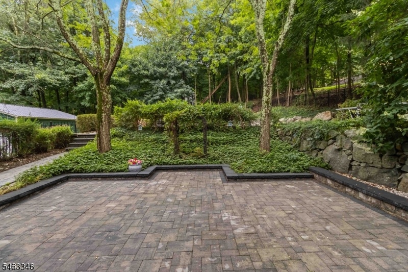 Rear Patio
