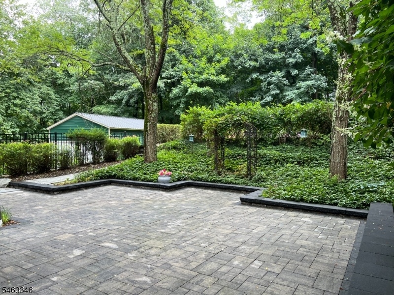 Rear Patio