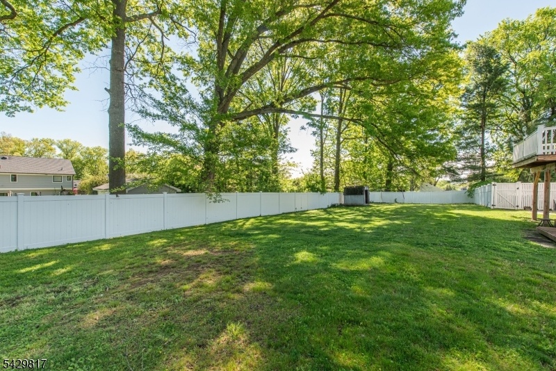 flat fenced yard