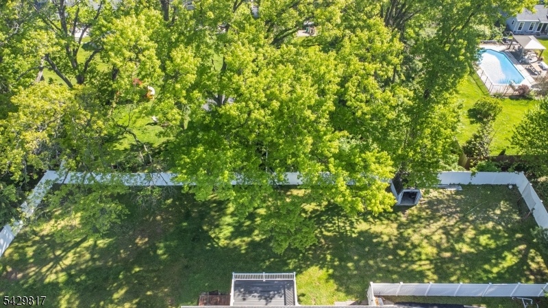 fenced back yard