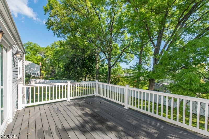 trex deck