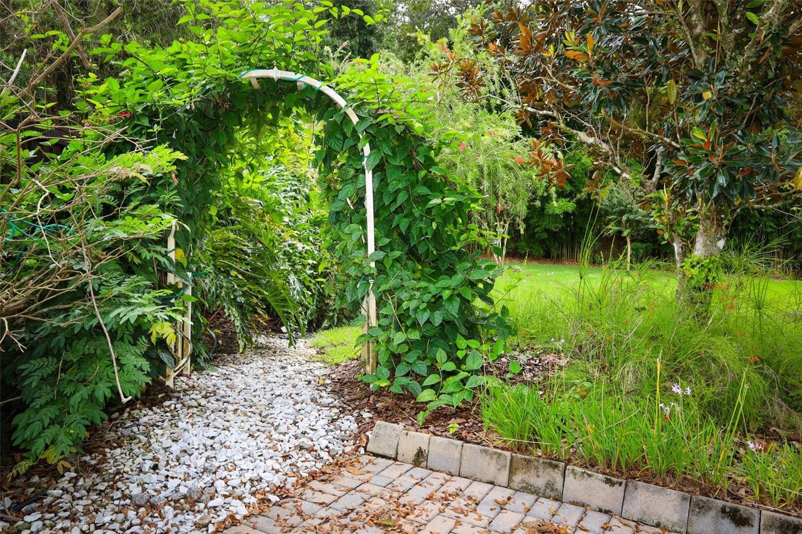 Garden walk-way to oversized backyard.