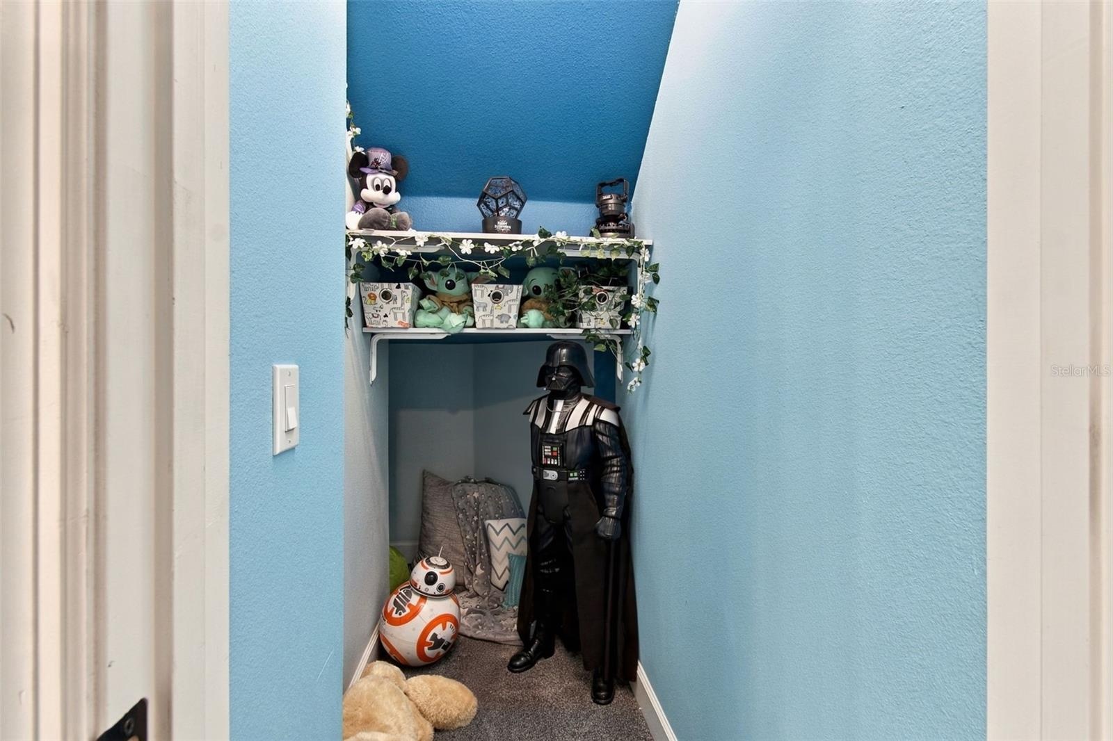 Closet under the stairs