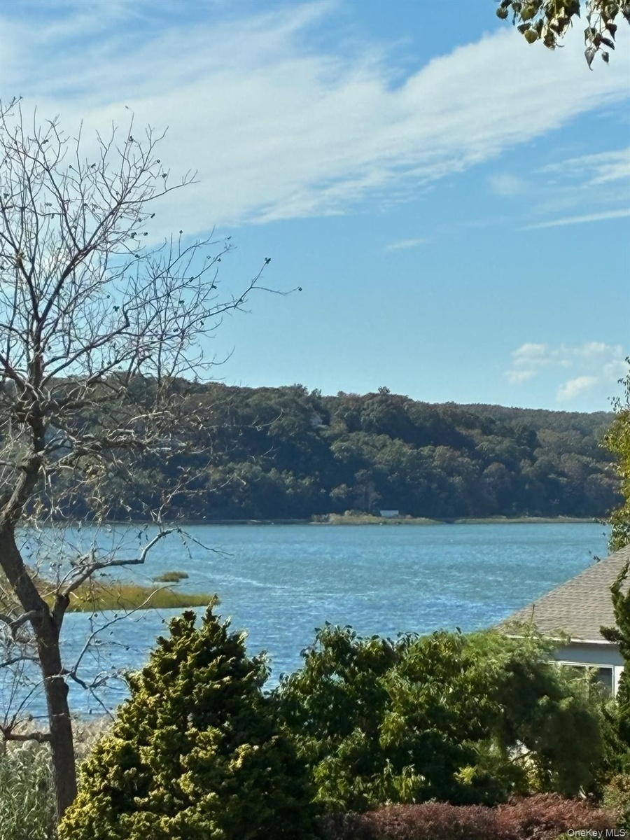 Waterview