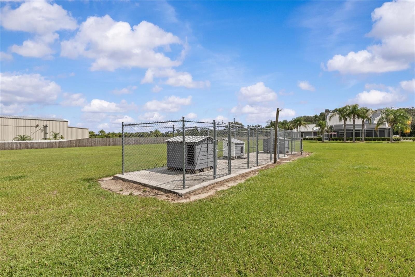 Dog kennels