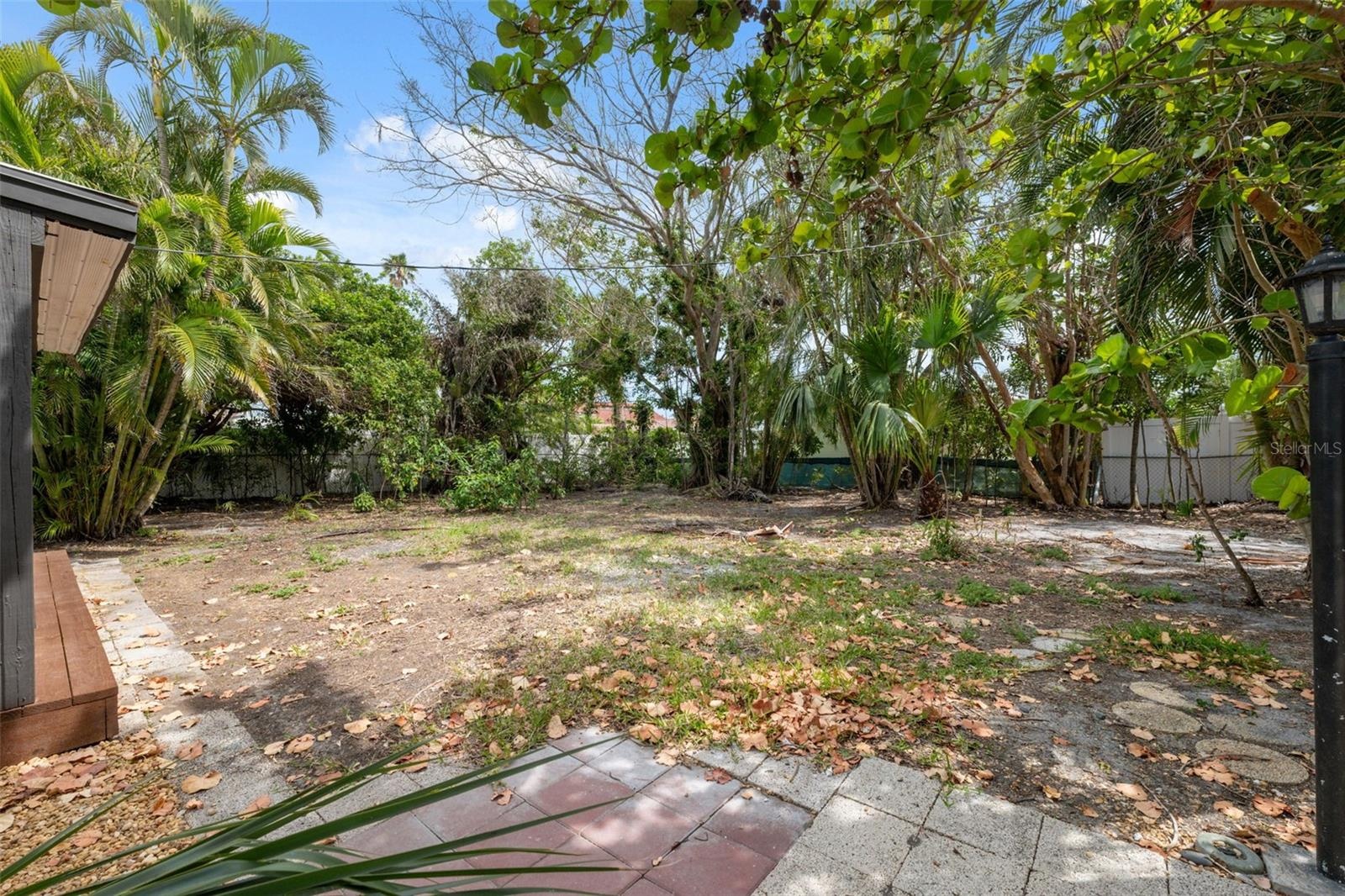 Back yard