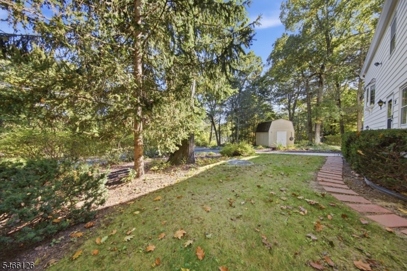 yard