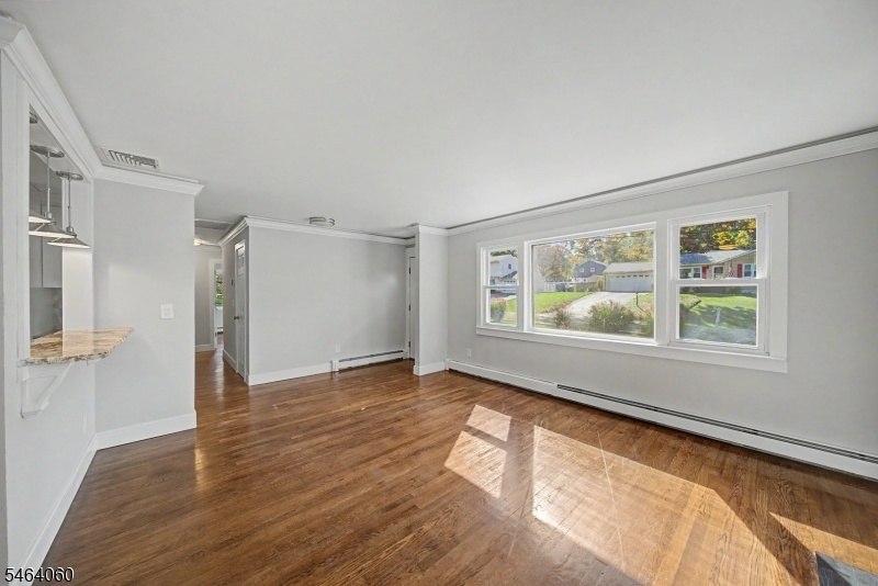 Living Room Windows