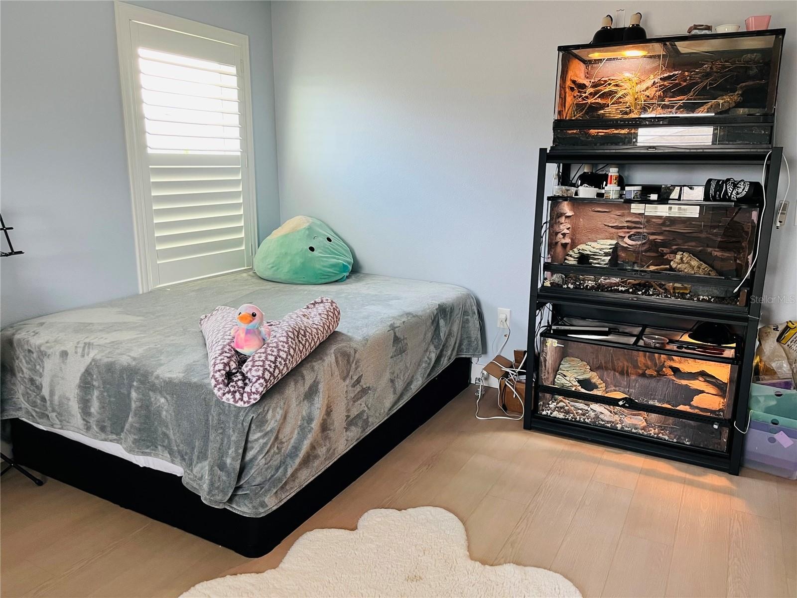 Bedroom 4, North View