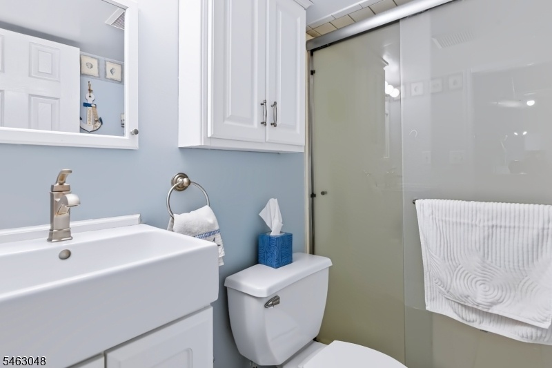 Lower Level Full Bathroom