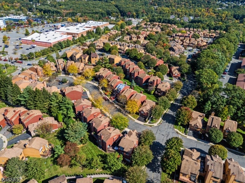 Neighborhood View