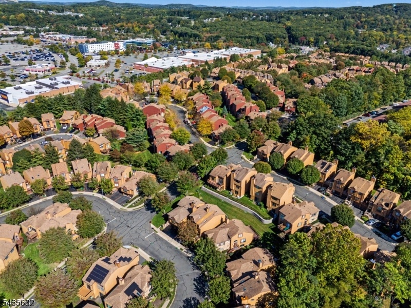 Neighborhood View