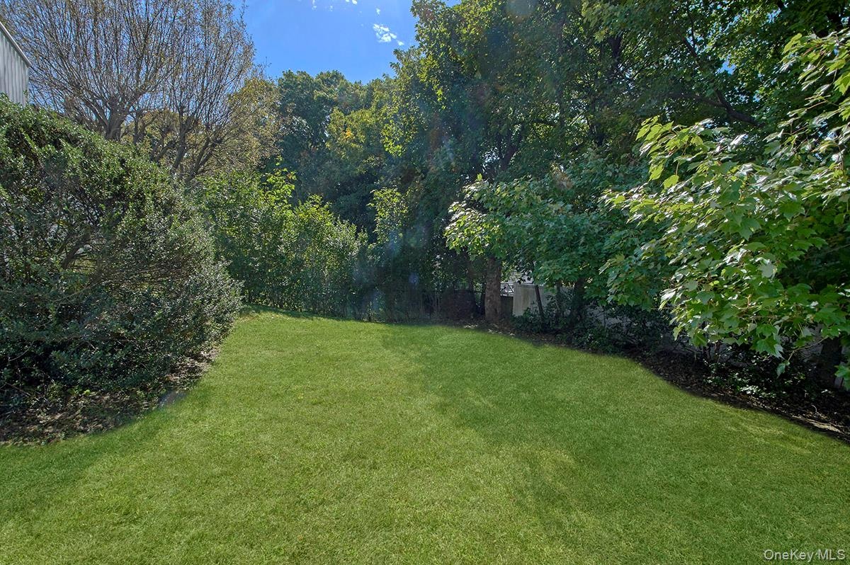 Spacious Backyard