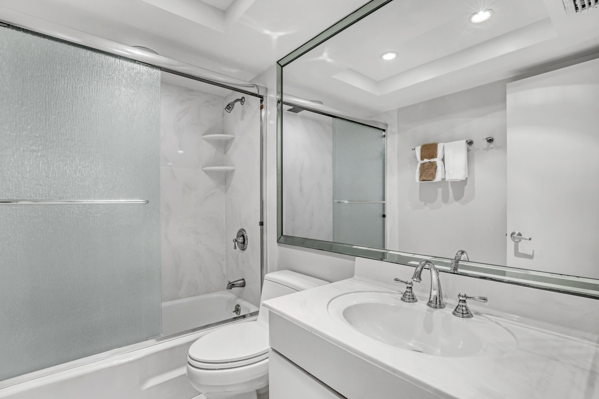Shower/Tub Combo