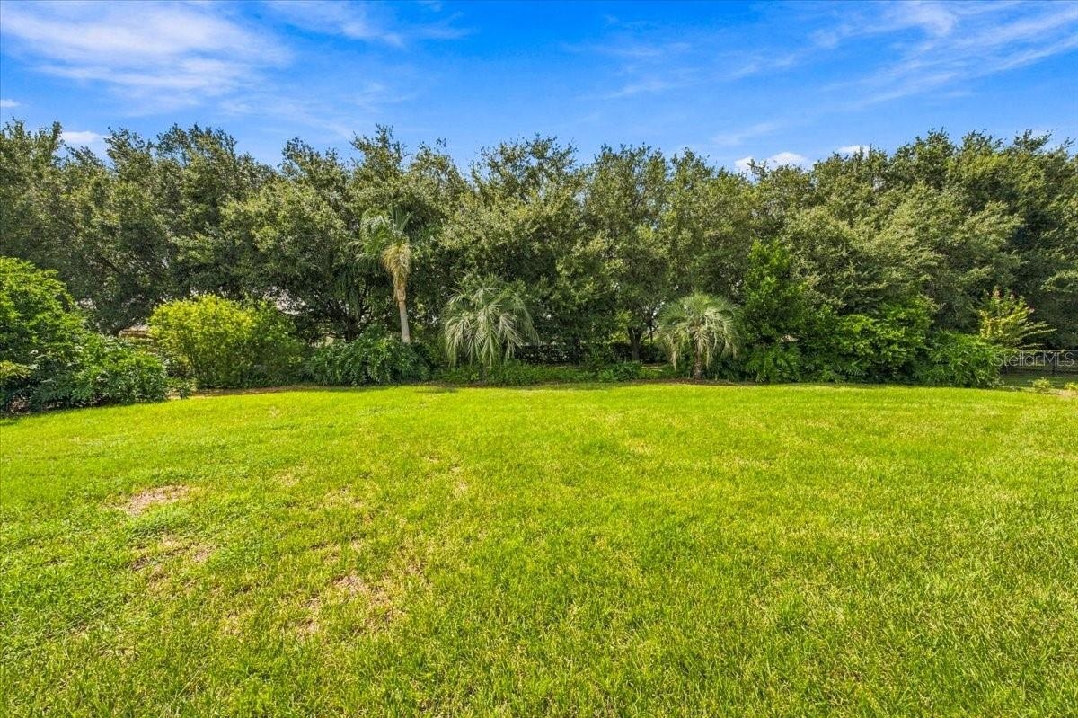 Expansive, fully fenced backyard featuring a lush lawn and mature native trees that provide a private, natural setting.