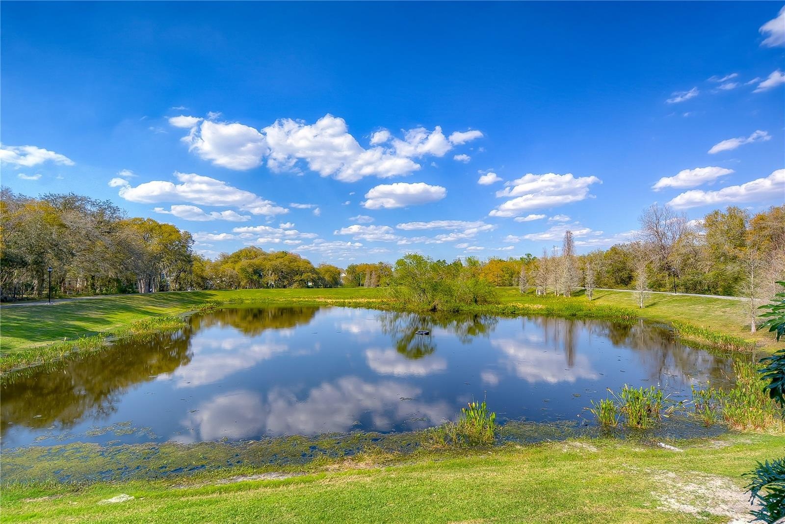 Lake