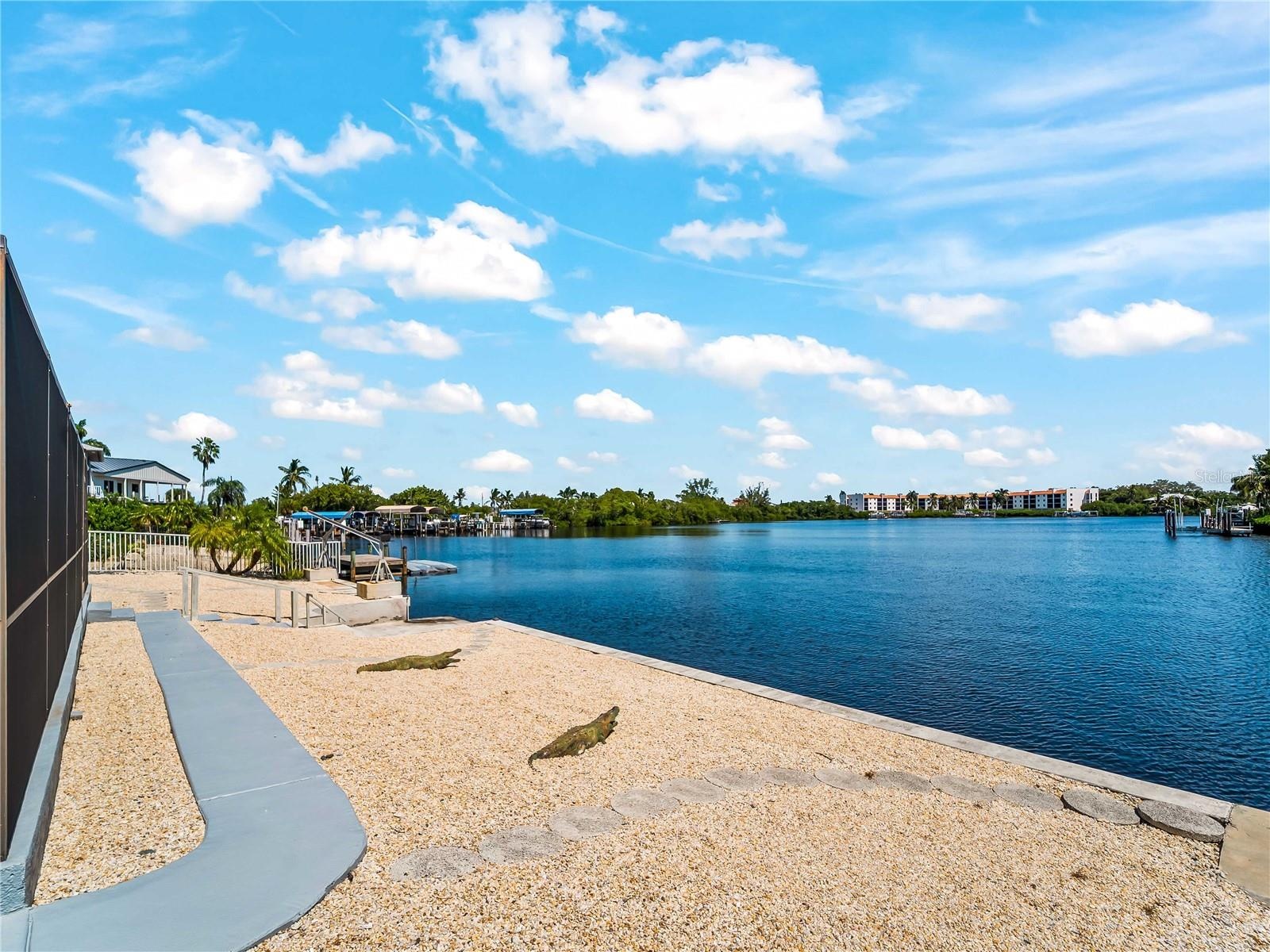 Backyard_2903rdStreet_BonitaSprings_WaterView_Panorama.jpg