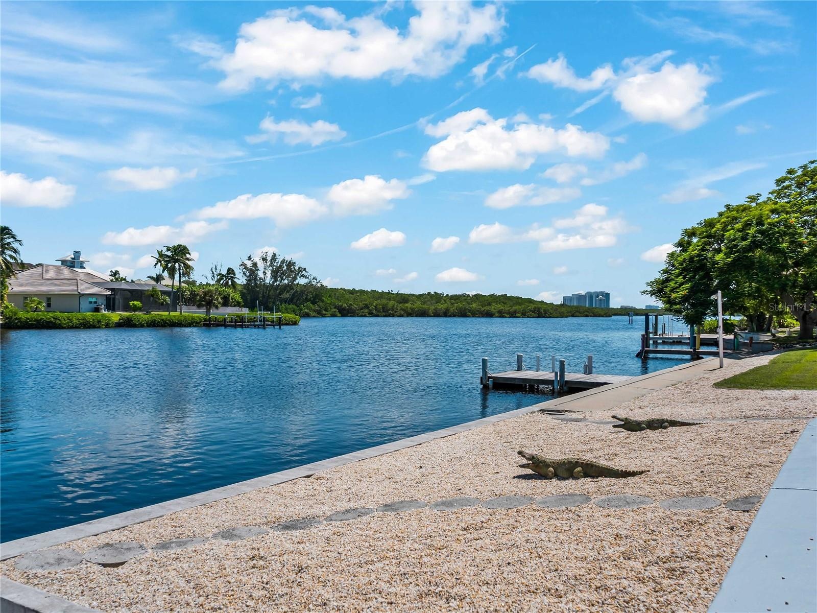 Backyard_2903rdStreet_BonitaSprings_WaterView_Panorama.jpg