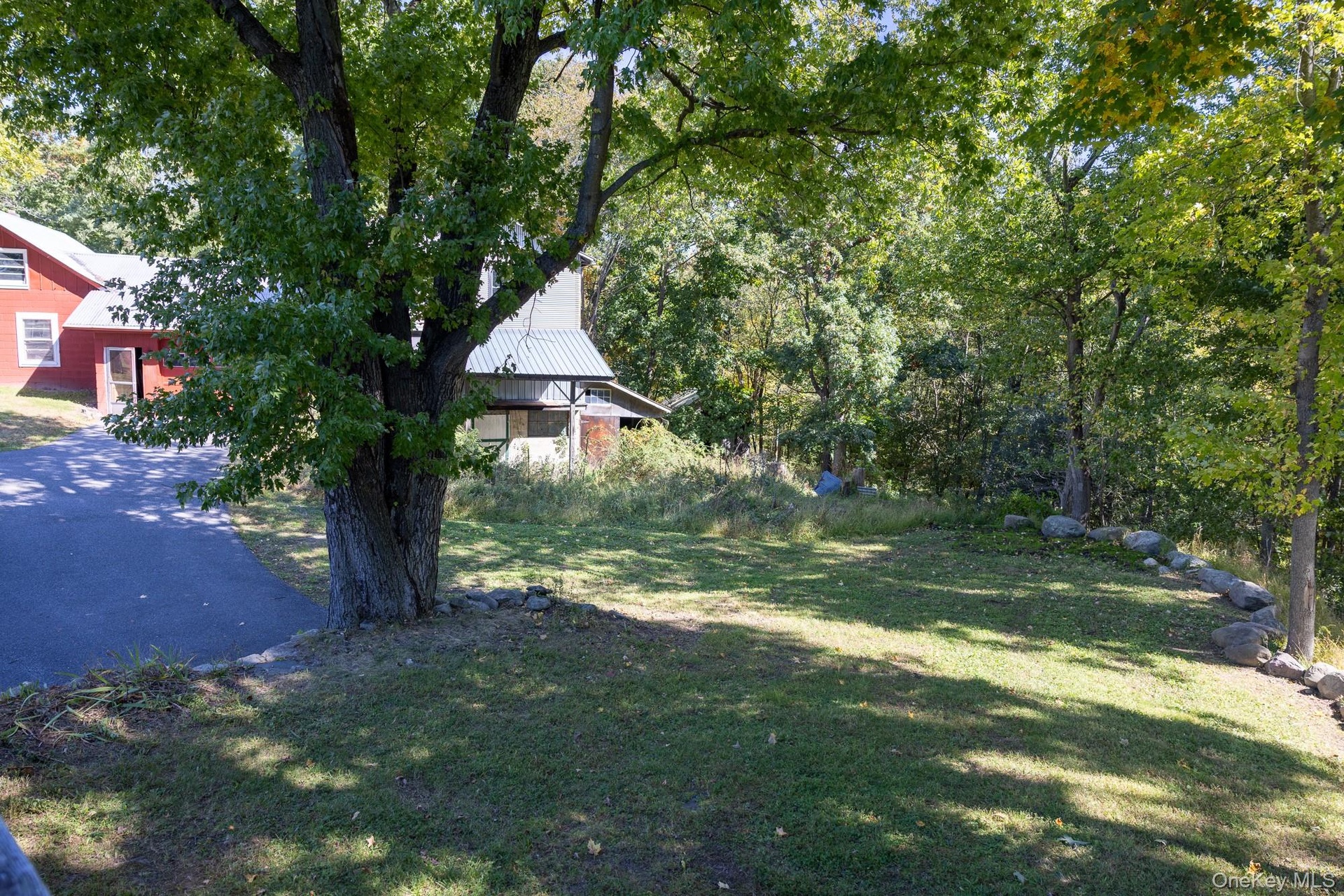 Exterior view of the barn and surrounding mature greenery.