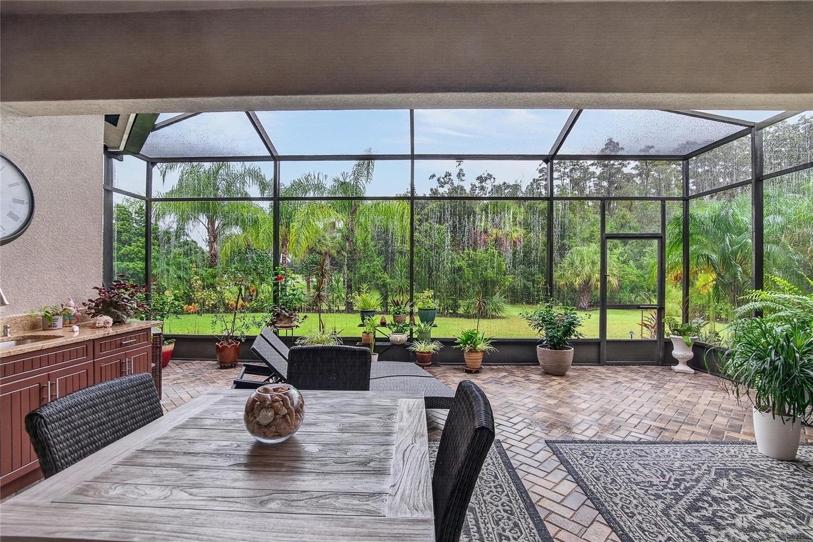 Lanai Rear View
