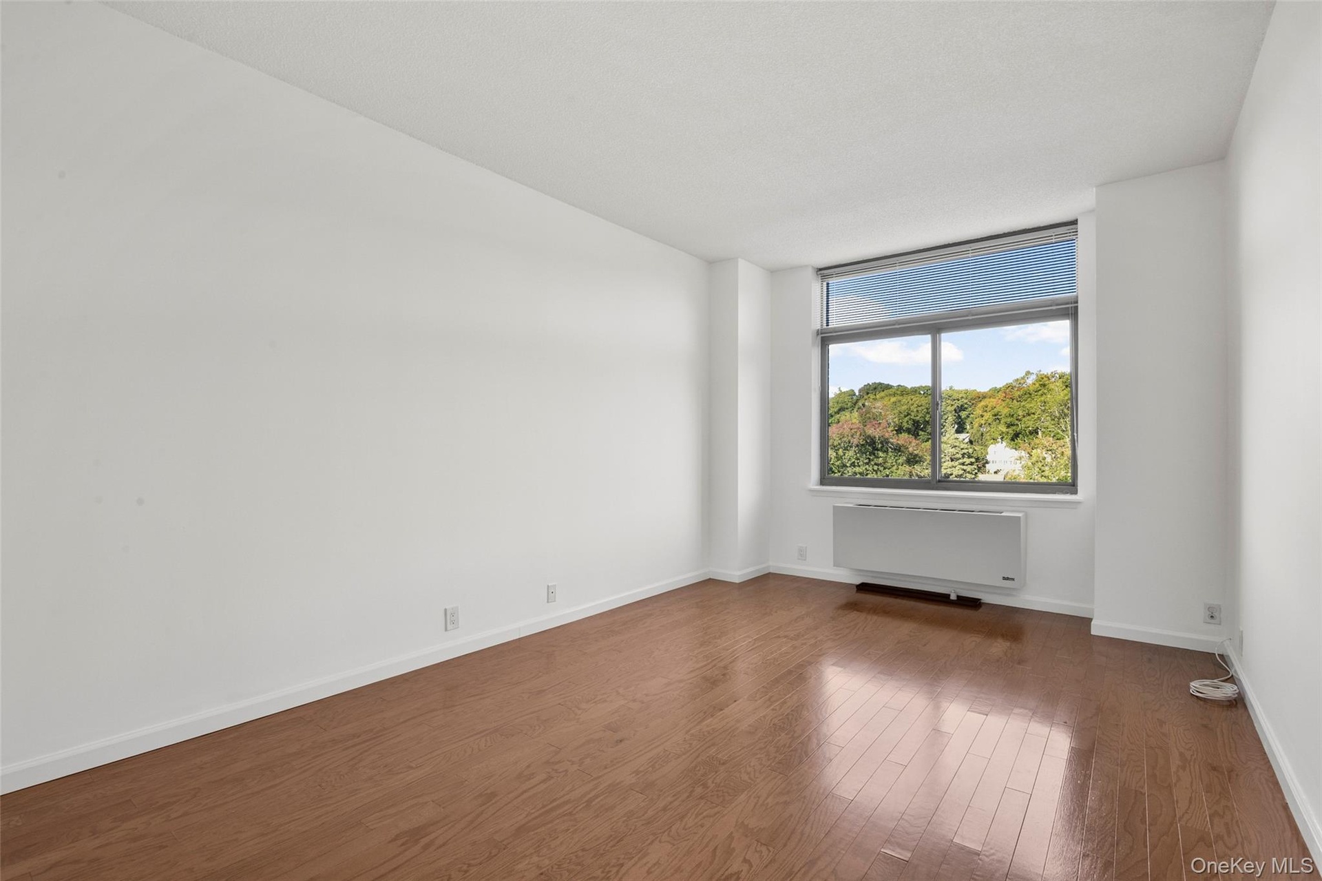 Spacious Bedroom