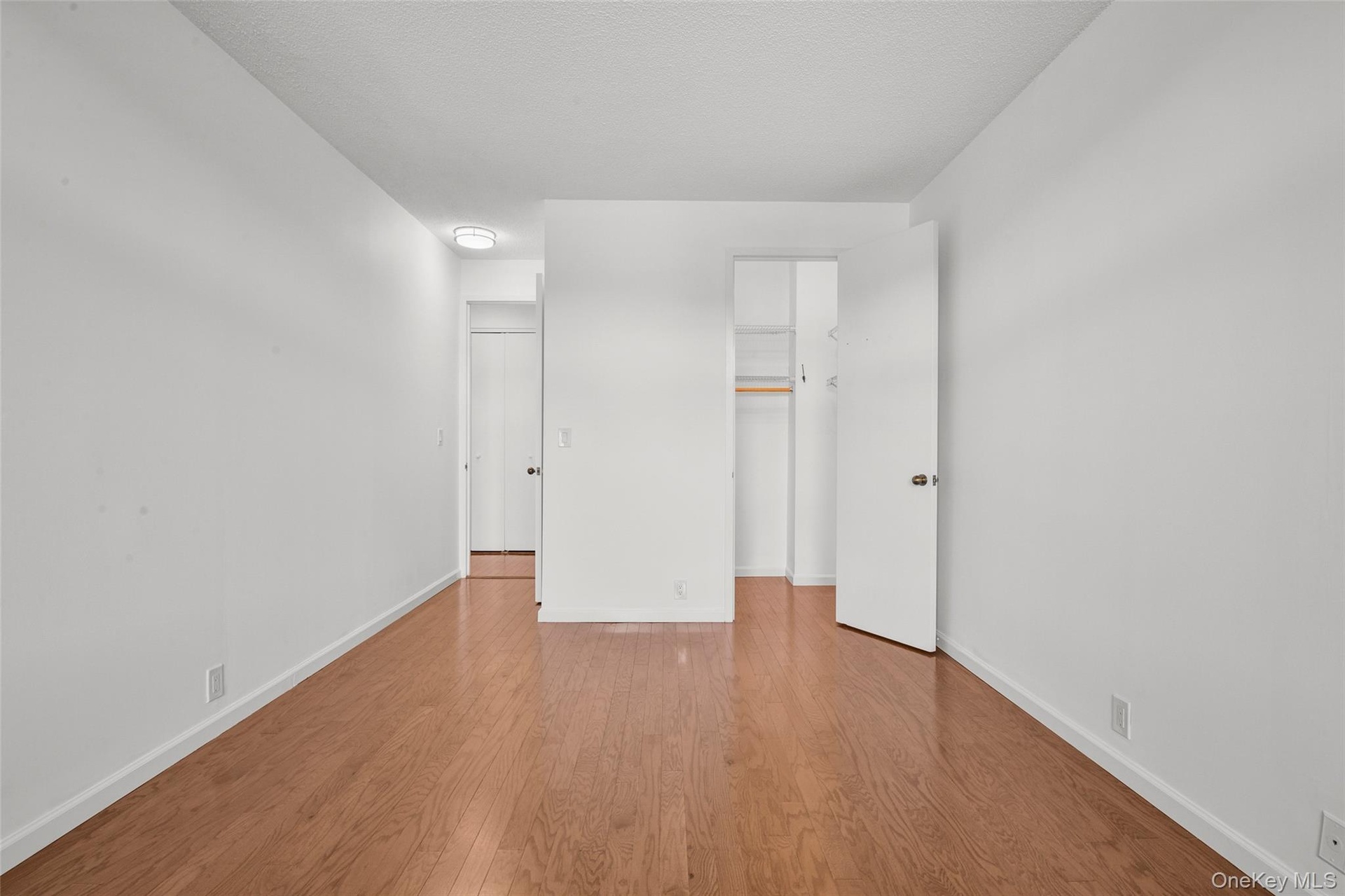 Walk in Closet and additional Closet