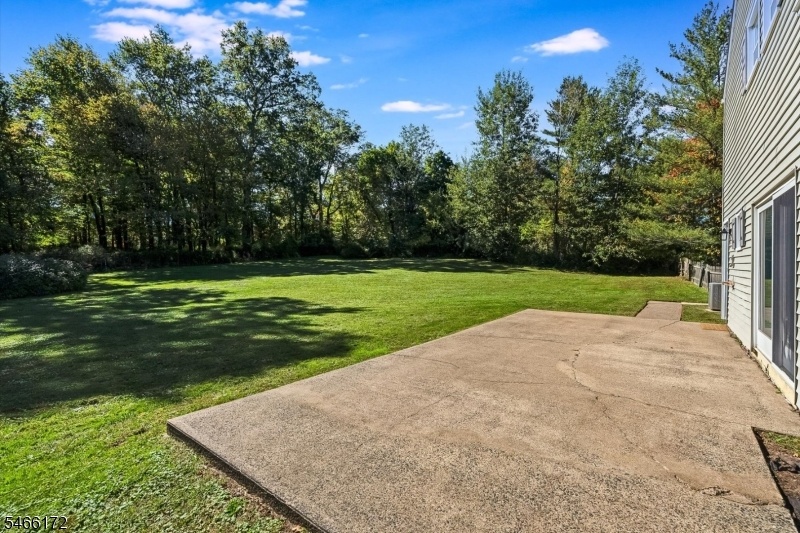 Patio Opens to Level Backyard