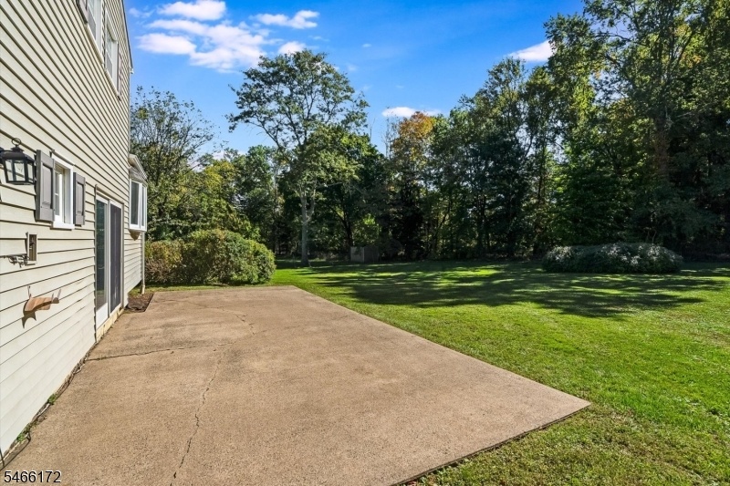 Patio Opens to Level Backyard
