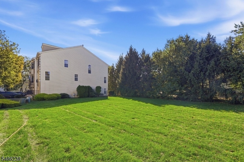 Expansive Yard