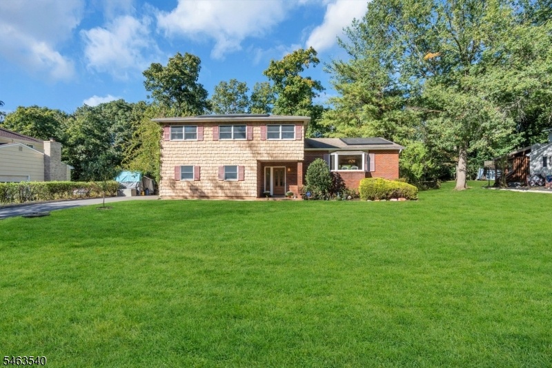Large Yard
