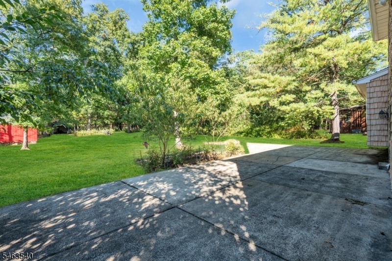Back Yard /Patio