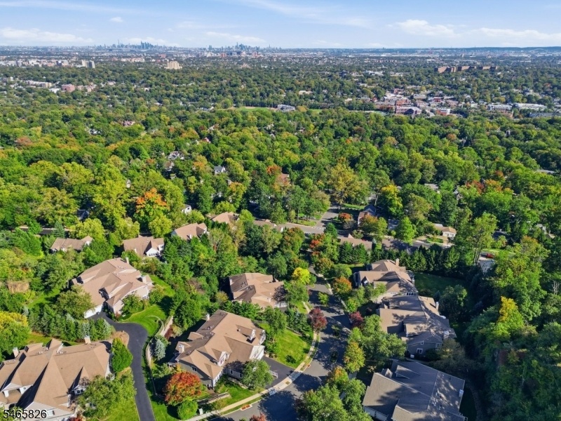 Manors/Village/City