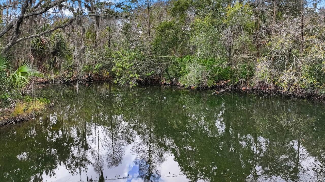 Swimmable Pond