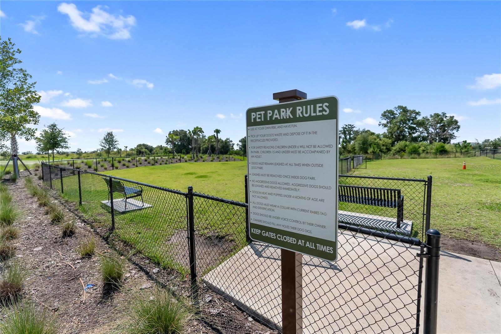 Dog Park