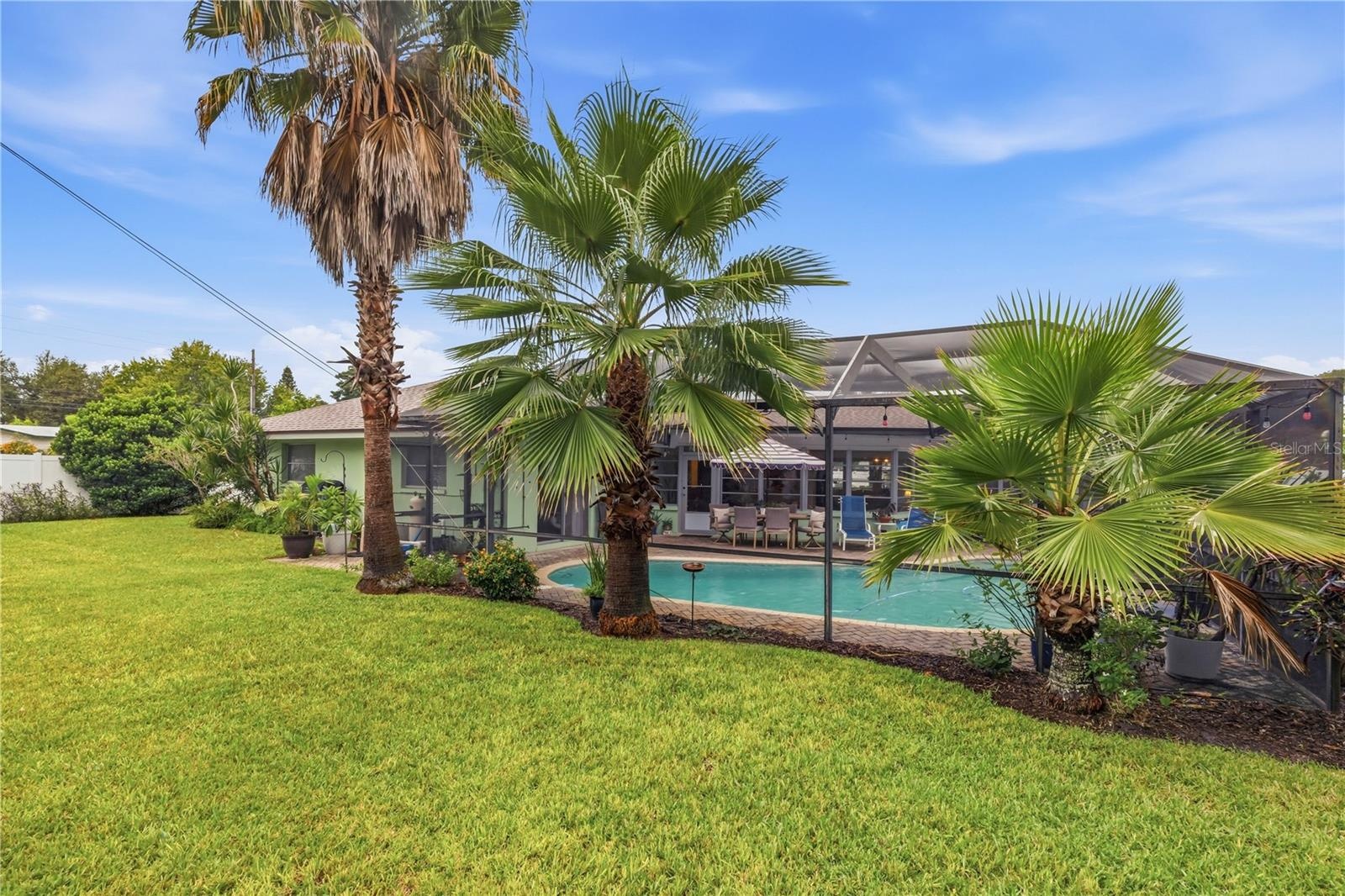 back yard