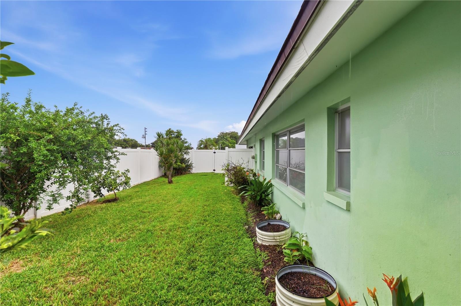 side yard with fruit trees