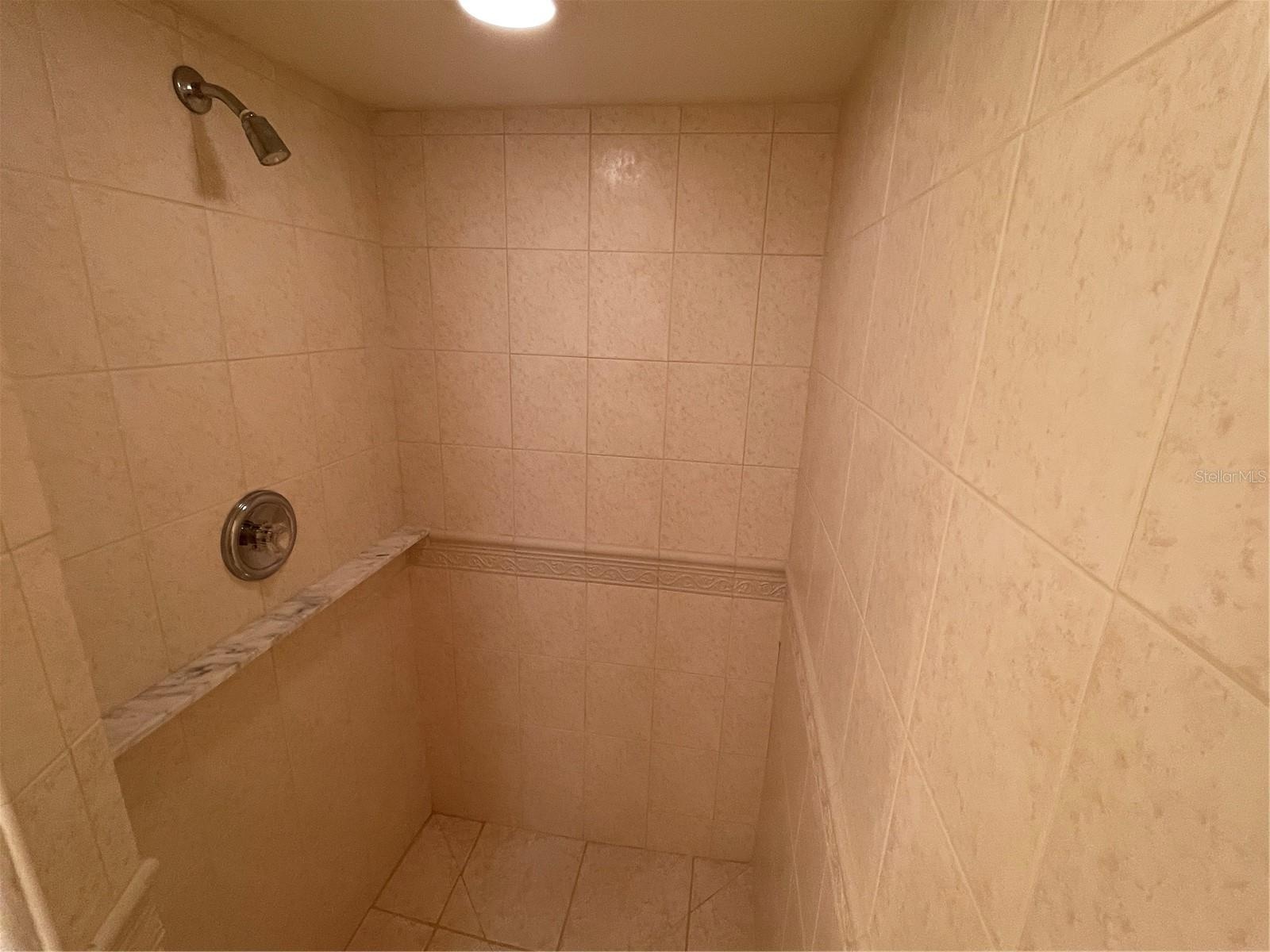 Shower in guest bathroom