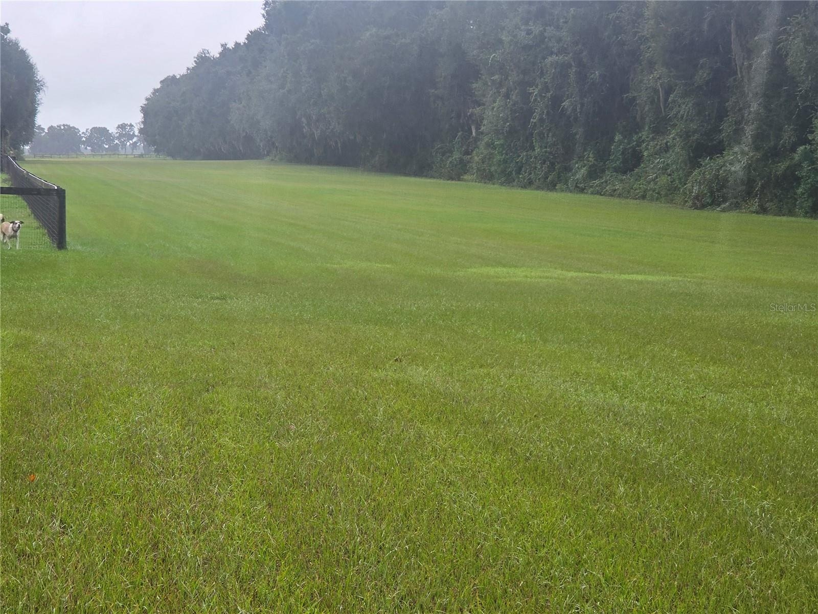 2500 ft Runway facing South