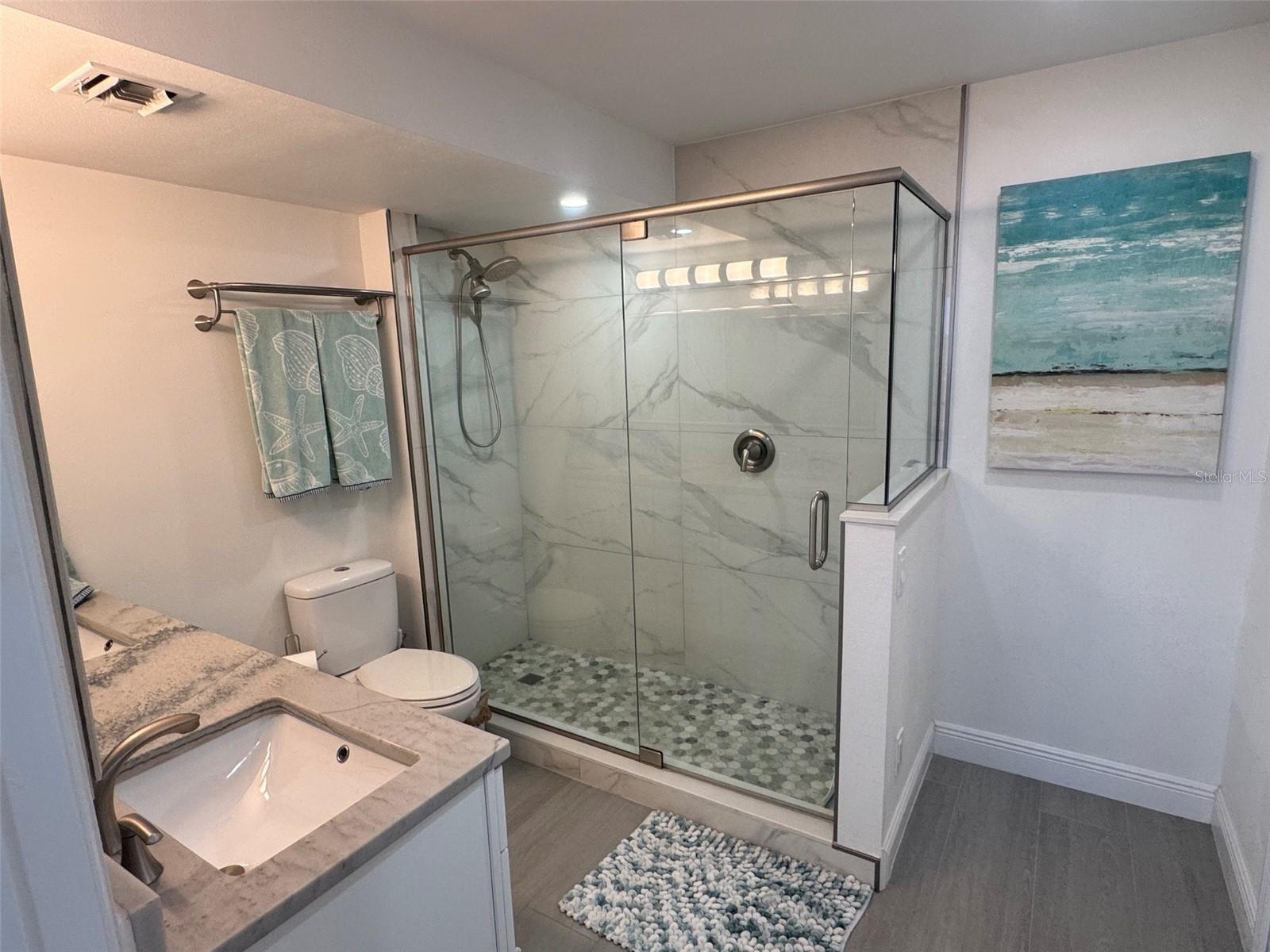 Main Bath Walk in Shower